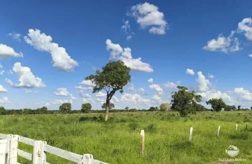 Fazenda, 2439 hectares - Foto 4