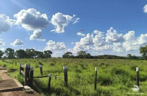 Fazenda, 2439 hectares - Foto 8