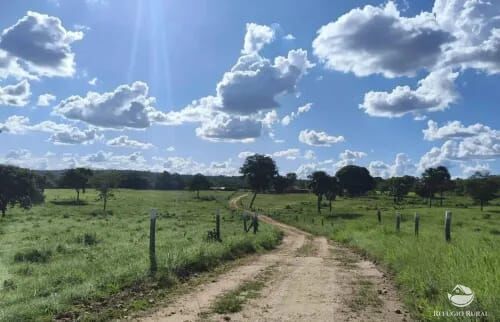 Fazenda, 2439 hectares - Foto 6