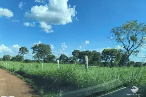 Fazenda, 2439 hectares - Foto 7