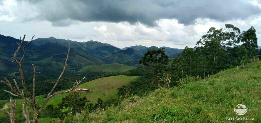 Terreno à venda, 72600m² - Foto 6