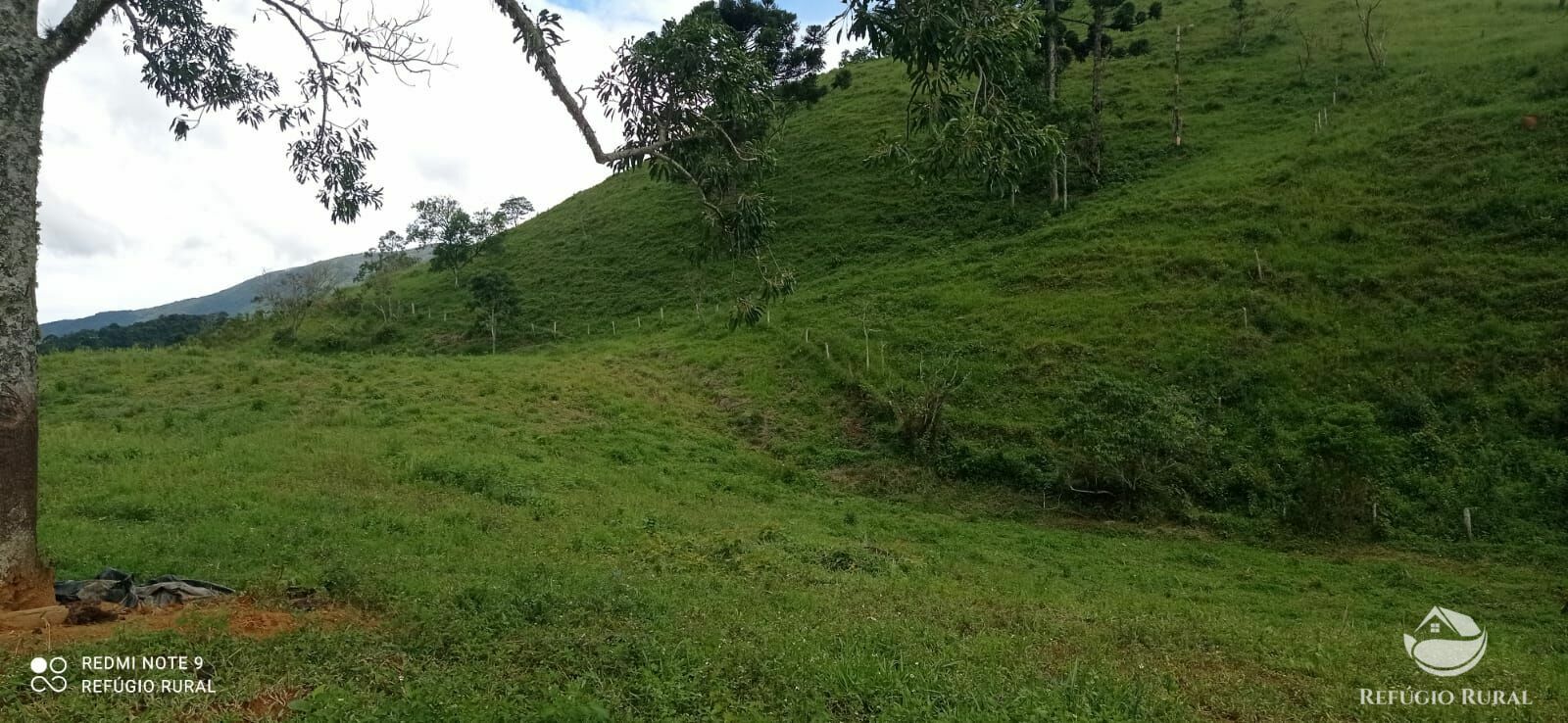 Terreno à venda, 72600m² - Foto 23