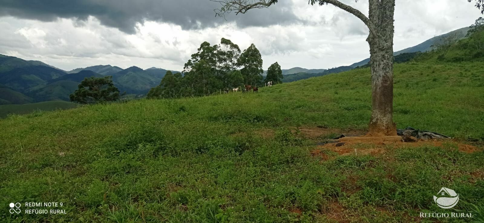 Terreno à venda, 72600m² - Foto 18