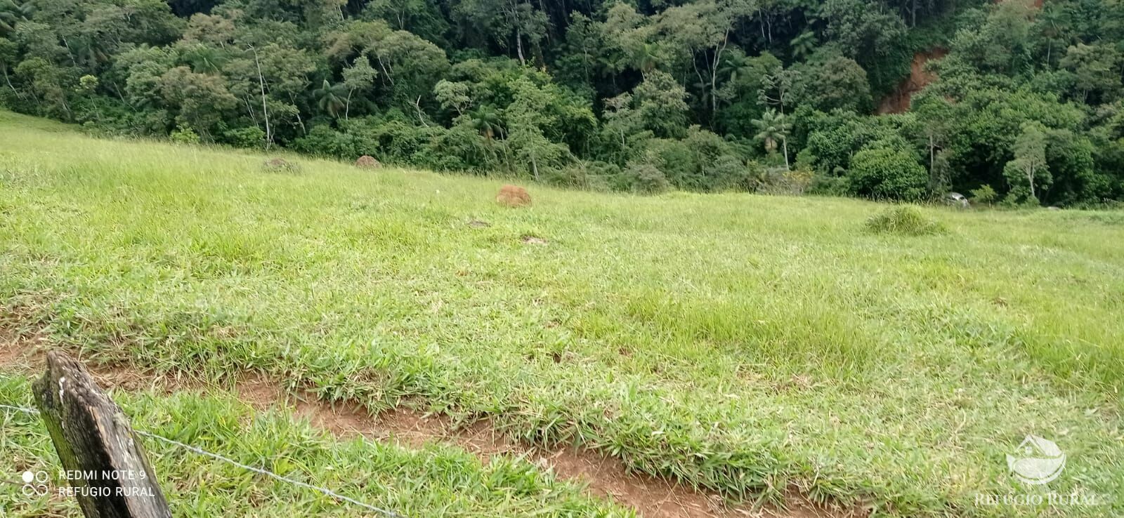 Terreno à venda, 72600m² - Foto 24