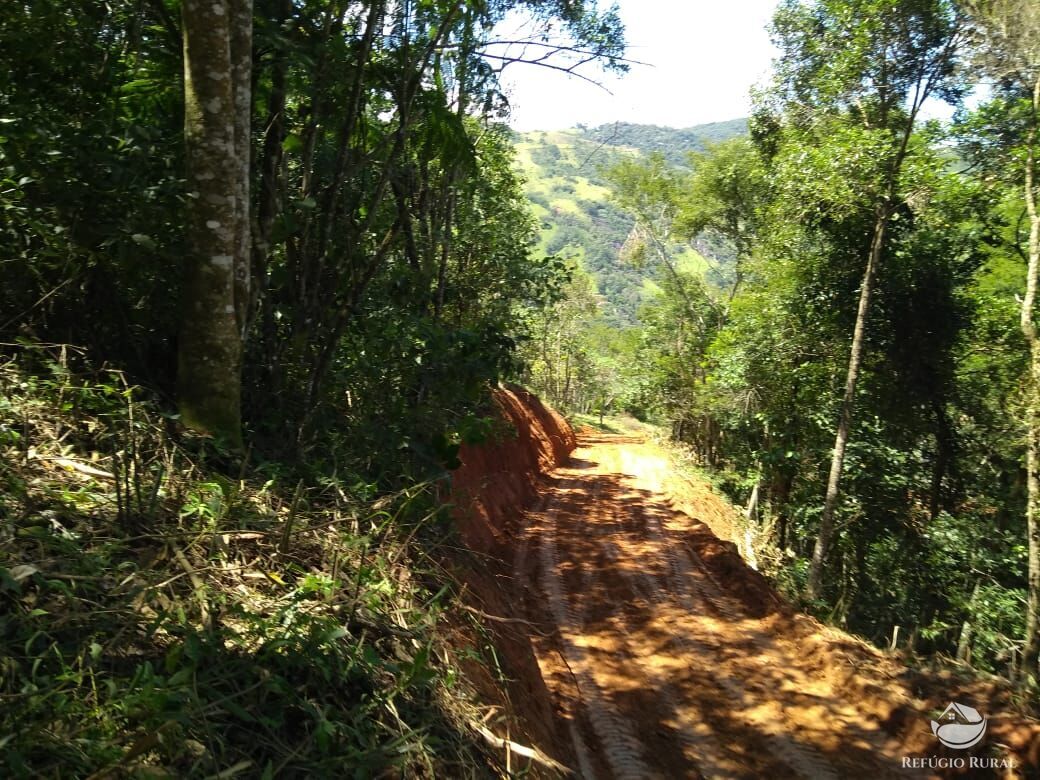 Terreno à venda, 169400m² - Foto 15