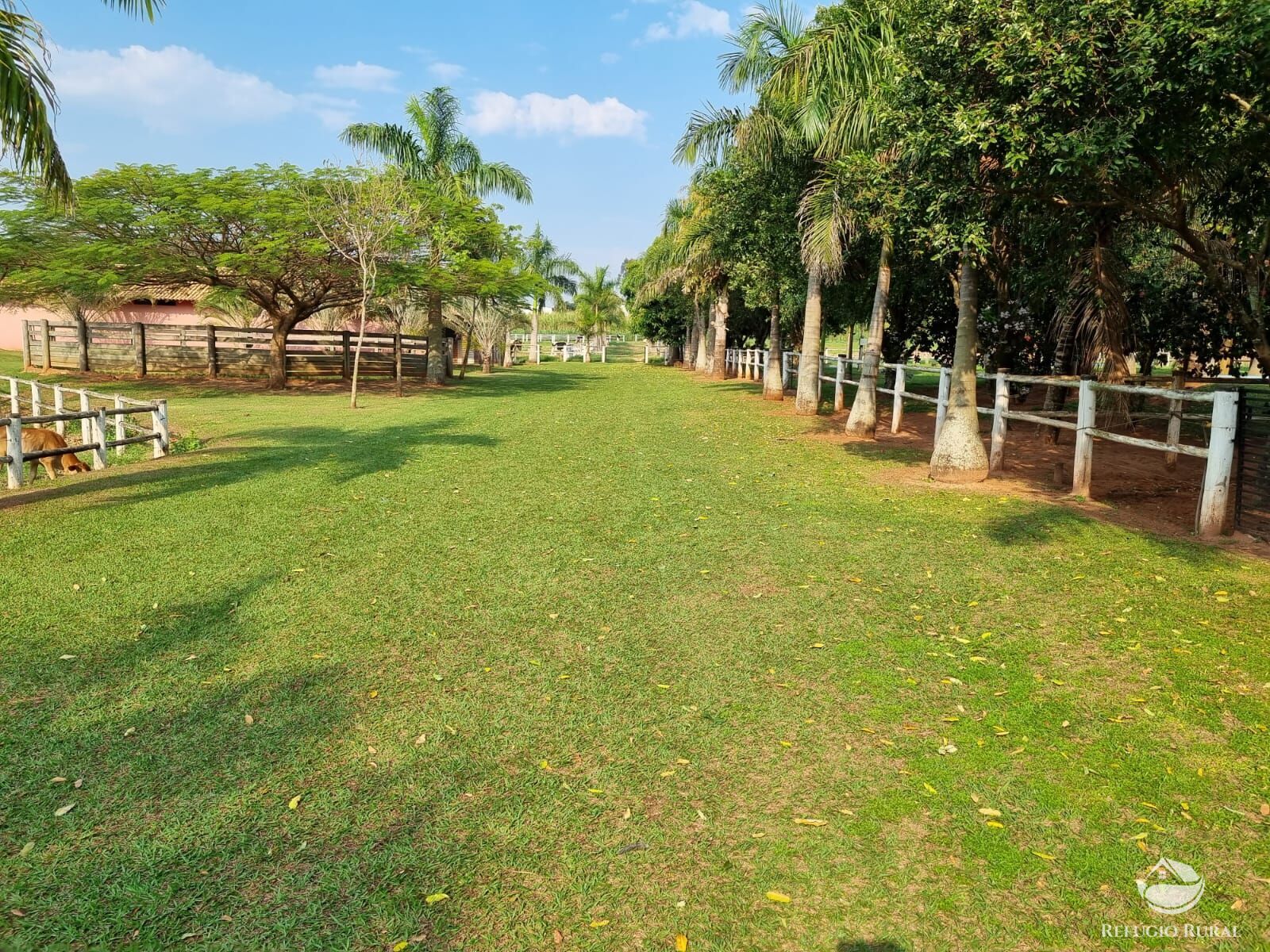 Fazenda à venda com 2 quartos, 30000m² - Foto 4