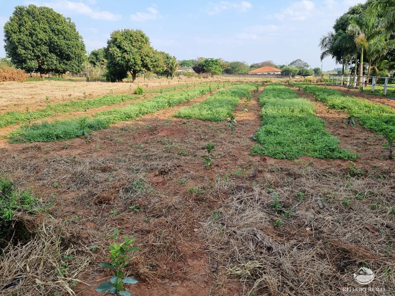 Fazenda à venda com 2 quartos, 30000m² - Foto 20