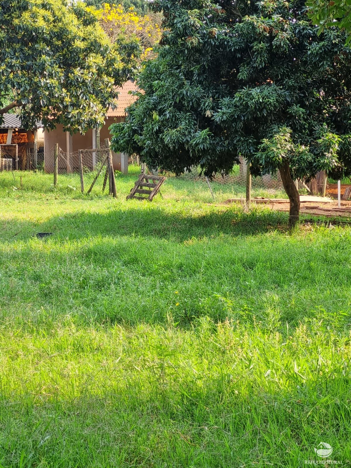 Fazenda à venda com 2 quartos, 30000m² - Foto 22