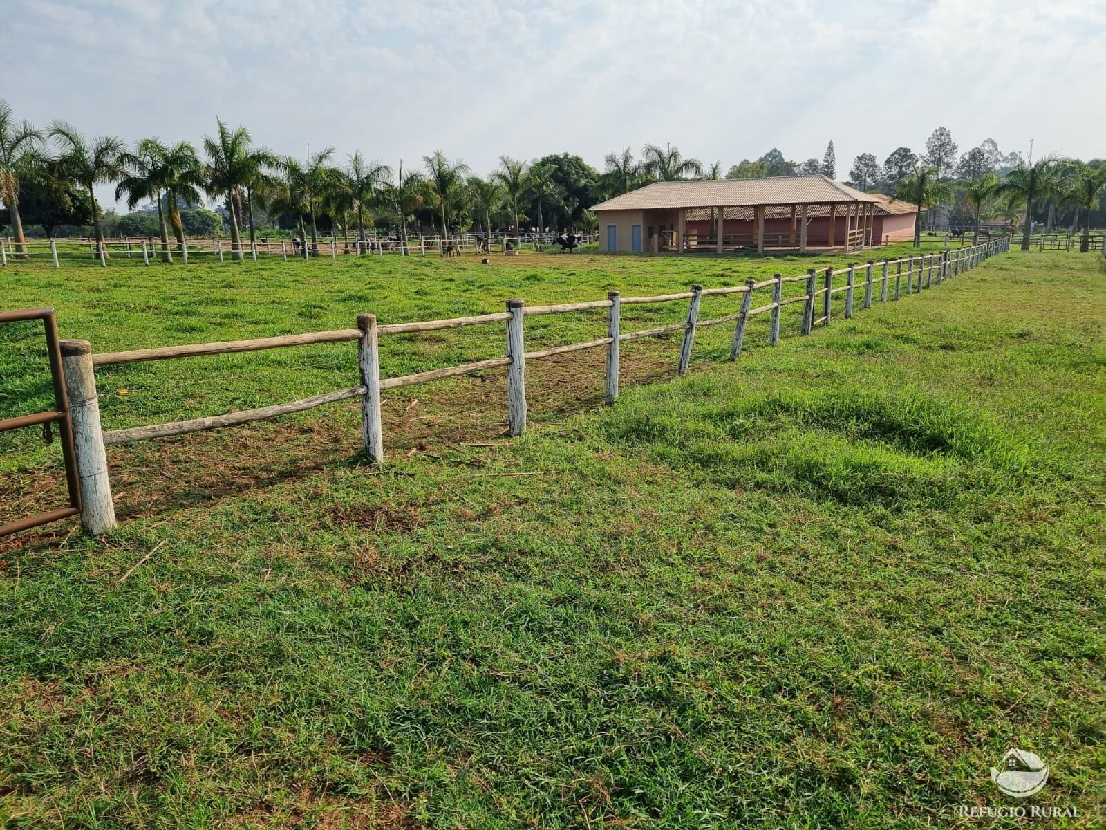 Fazenda à venda com 2 quartos, 30000m² - Foto 14