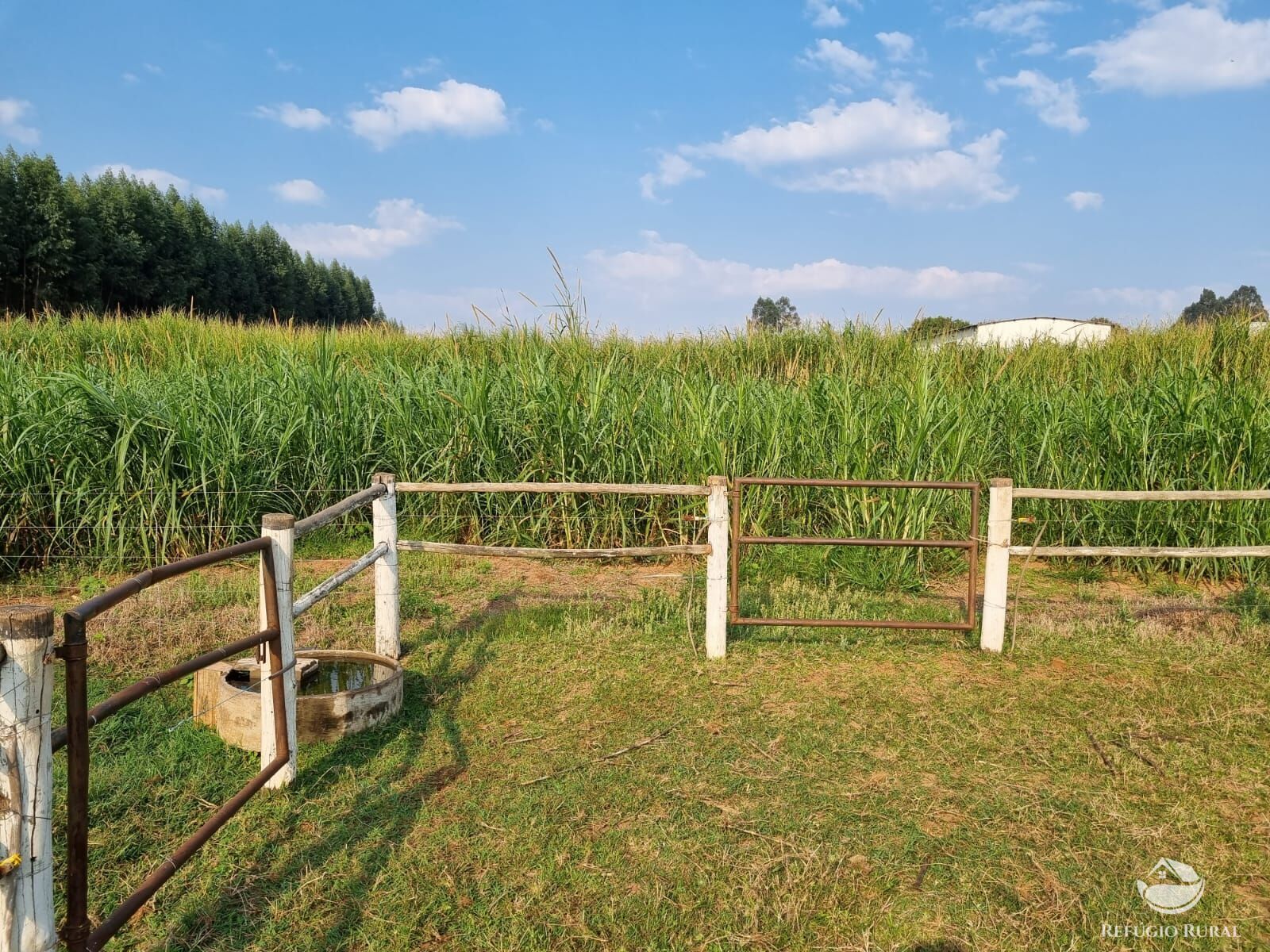 Fazenda à venda com 2 quartos, 30000m² - Foto 9