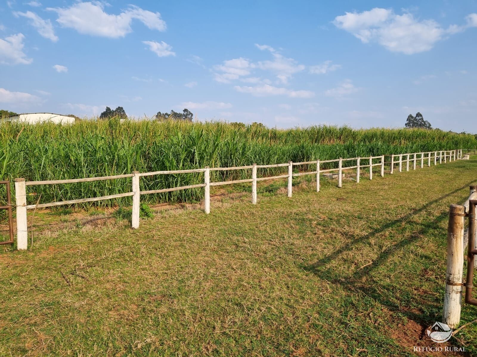 Fazenda à venda com 2 quartos, 30000m² - Foto 11