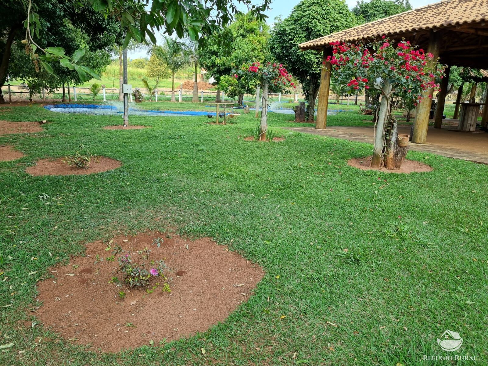 Fazenda à venda com 2 quartos, 30000m² - Foto 24