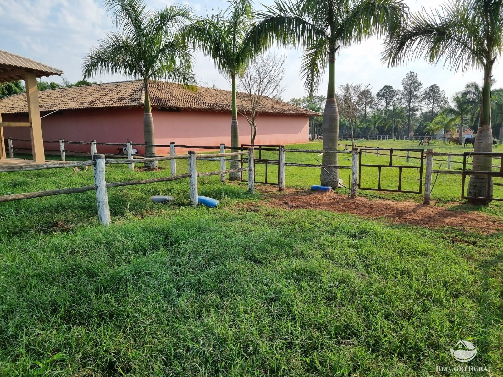 Fazenda à venda com 2 quartos, 30000m² - Foto 8