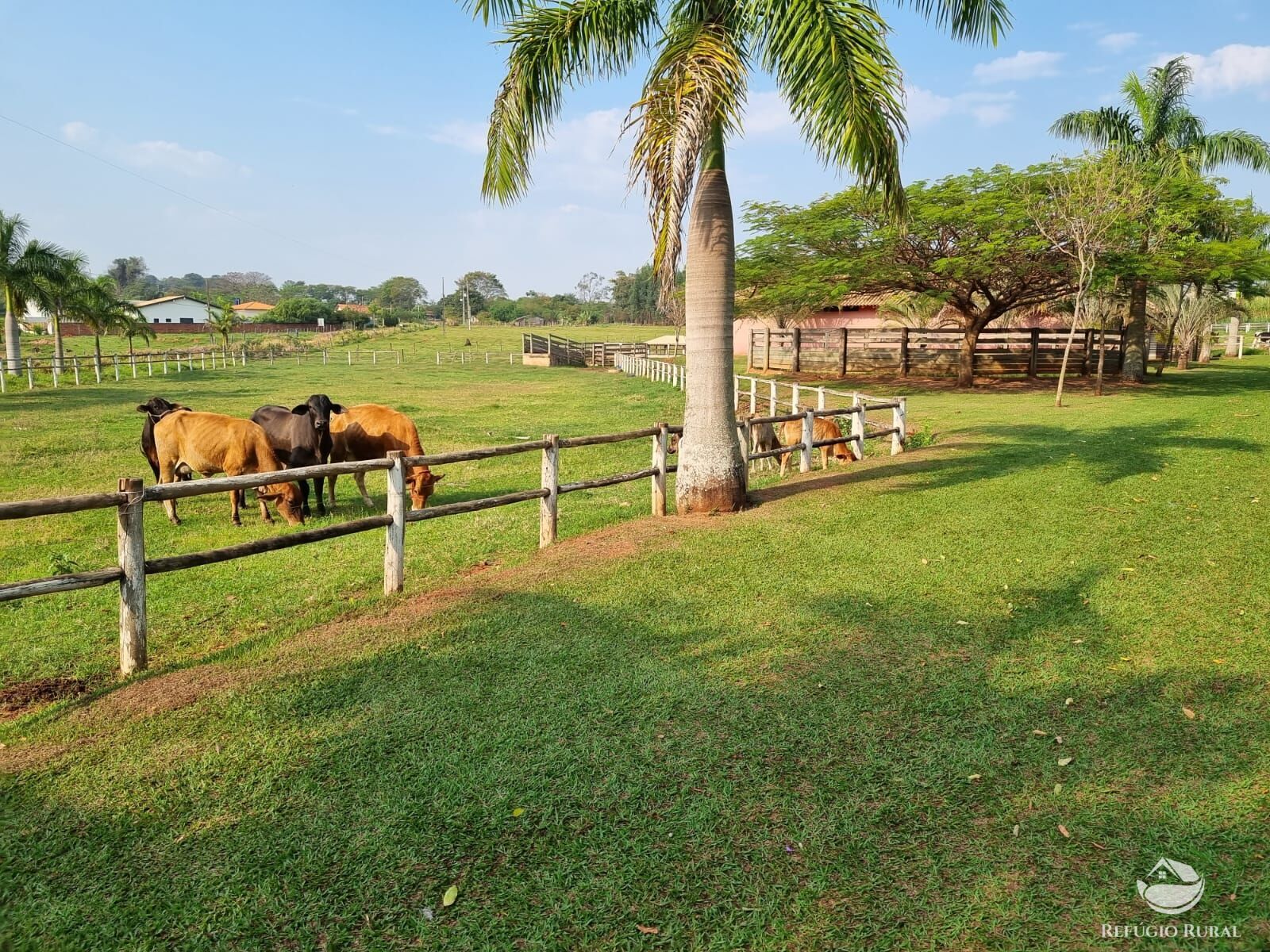 Fazenda à venda com 2 quartos, 30000m² - Foto 2