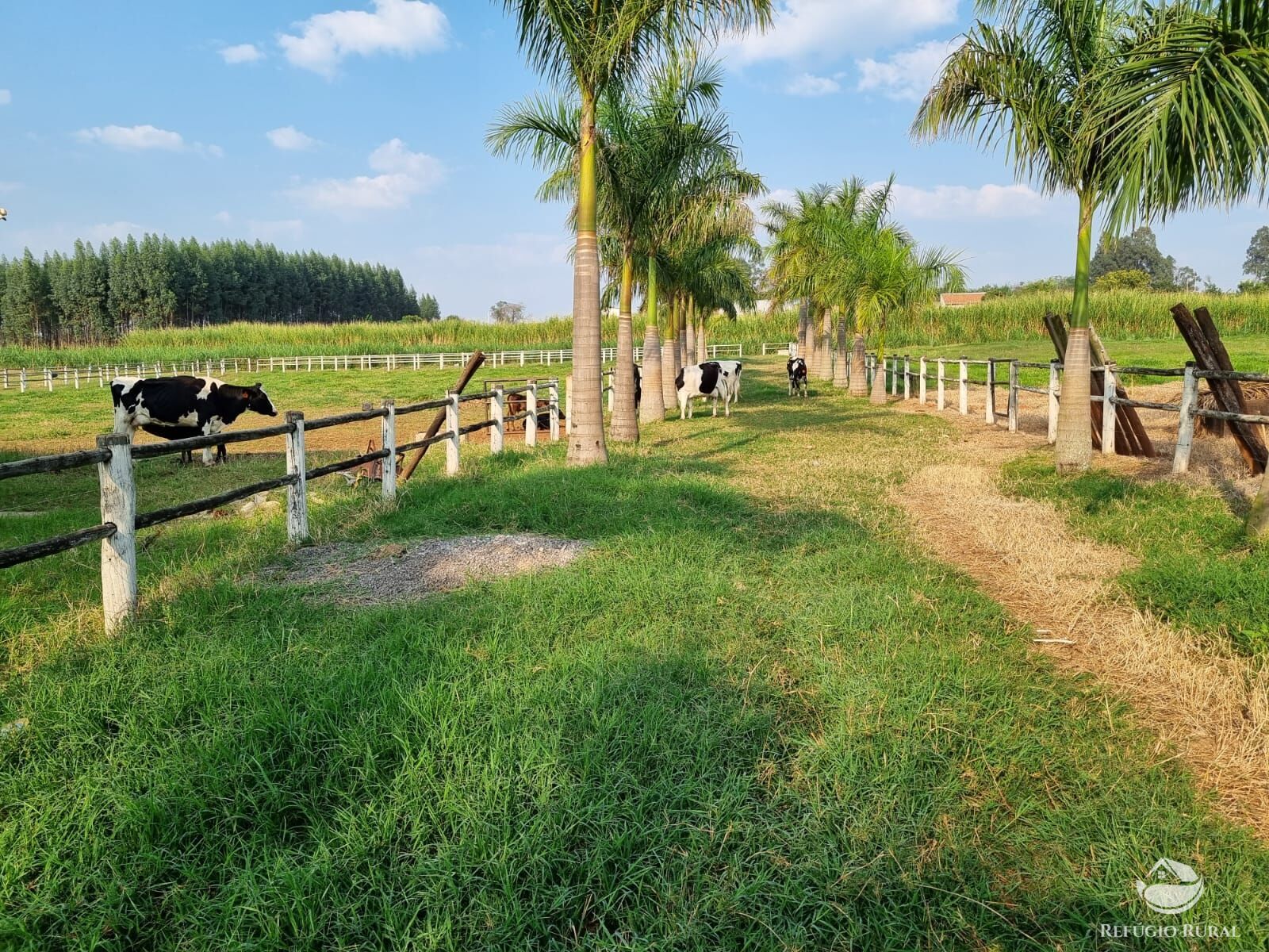 Fazenda à venda com 2 quartos, 30000m² - Foto 6