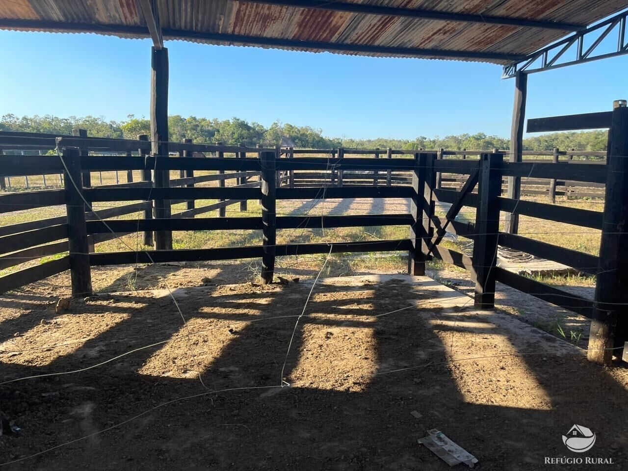 Fazenda, 348 hectares - Foto 7