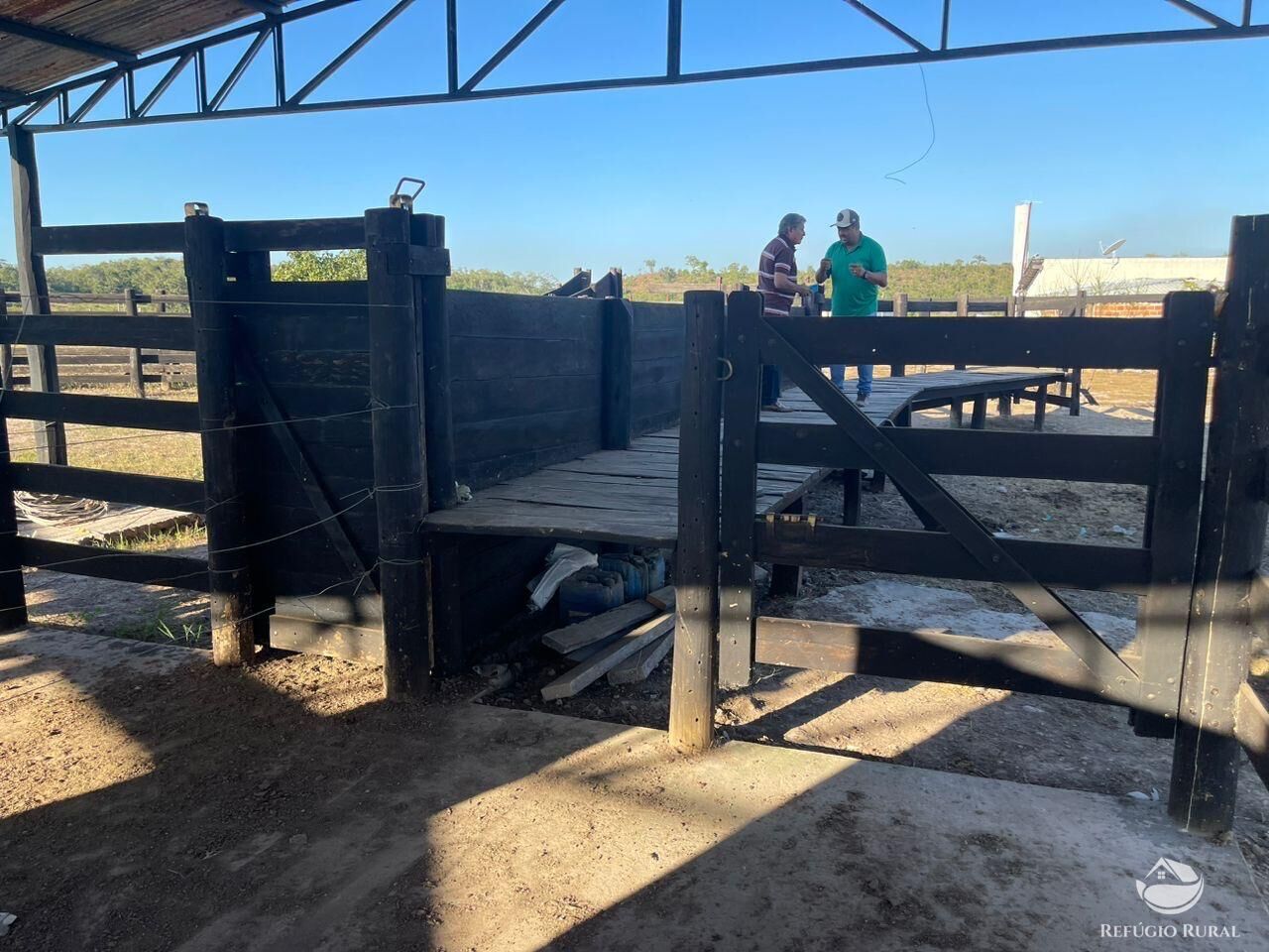 Fazenda, 348 hectares - Foto 8