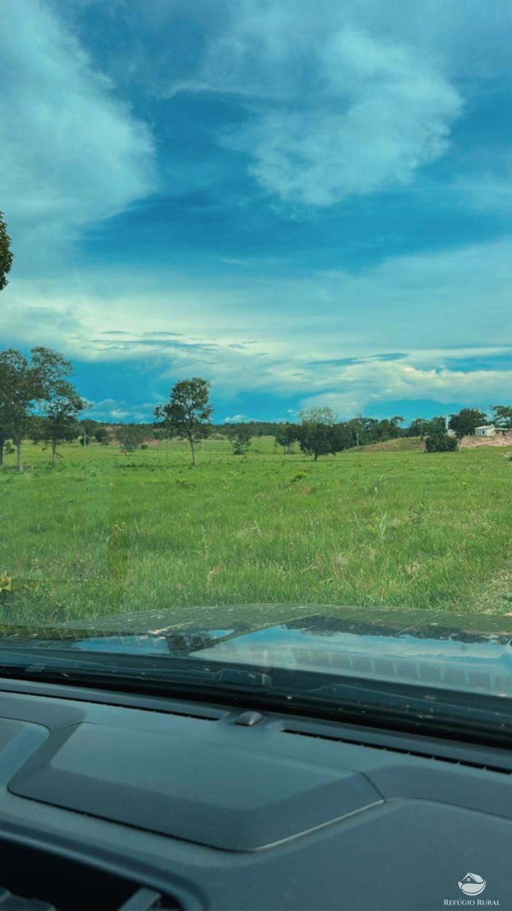 Fazenda, 348 hectares - Foto 4