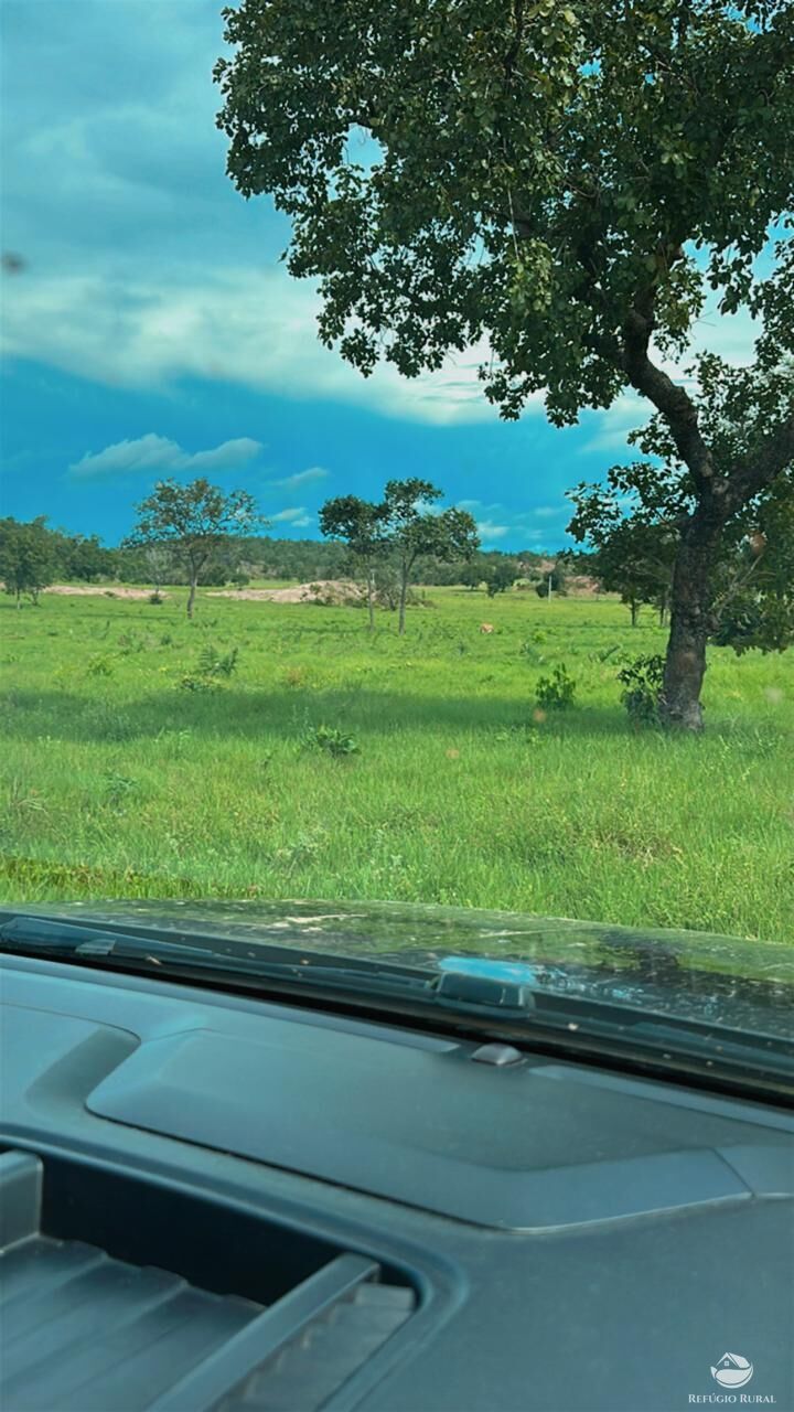 Fazenda, 348 hectares - Foto 9