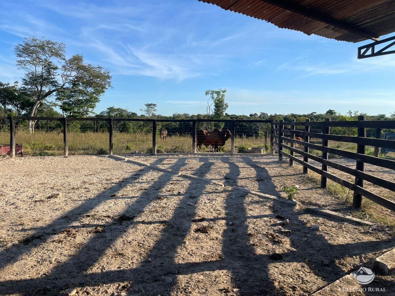 Fazenda, 348 hectares - Foto 5