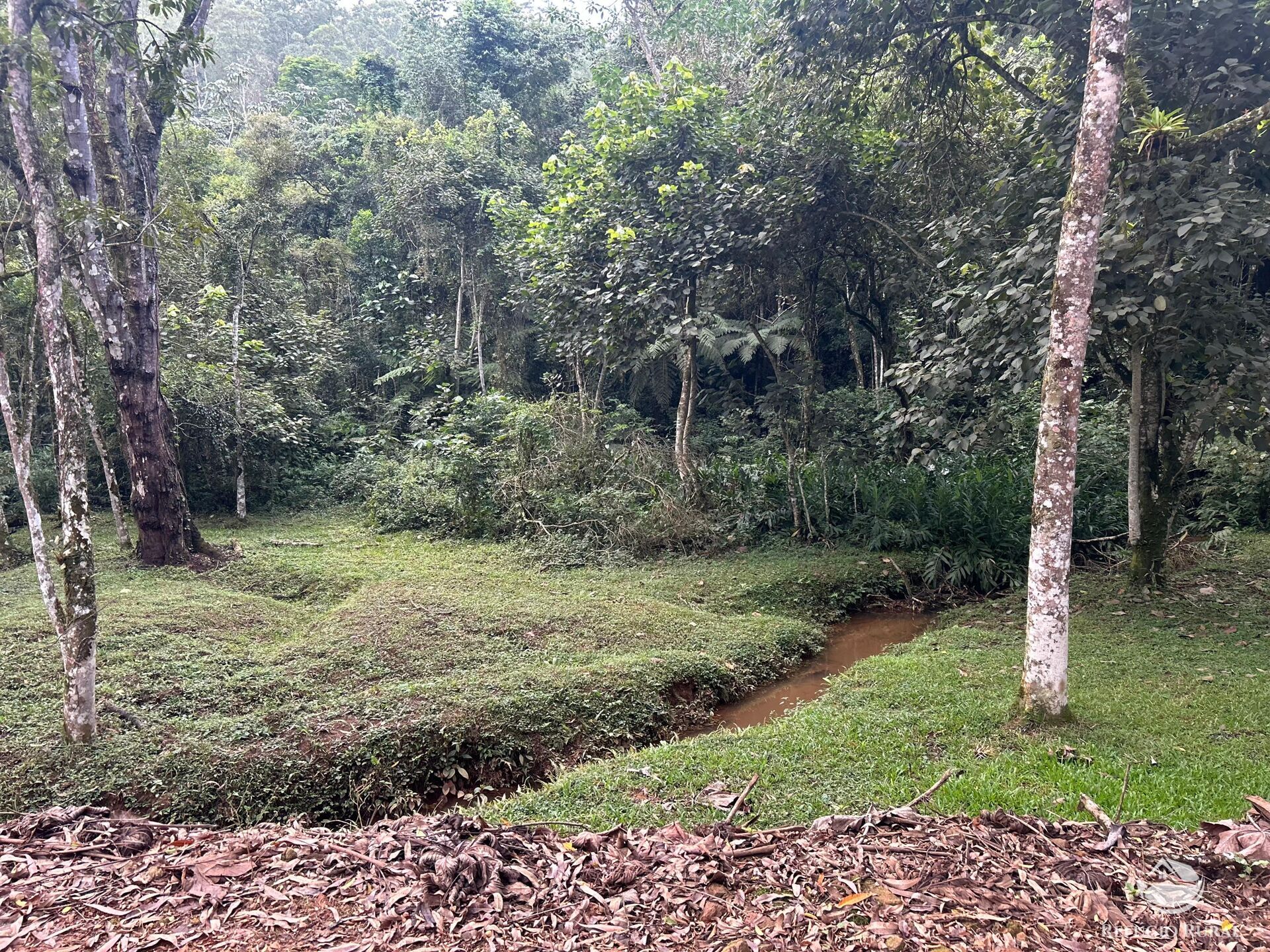 Terreno à venda, 48400m² - Foto 5