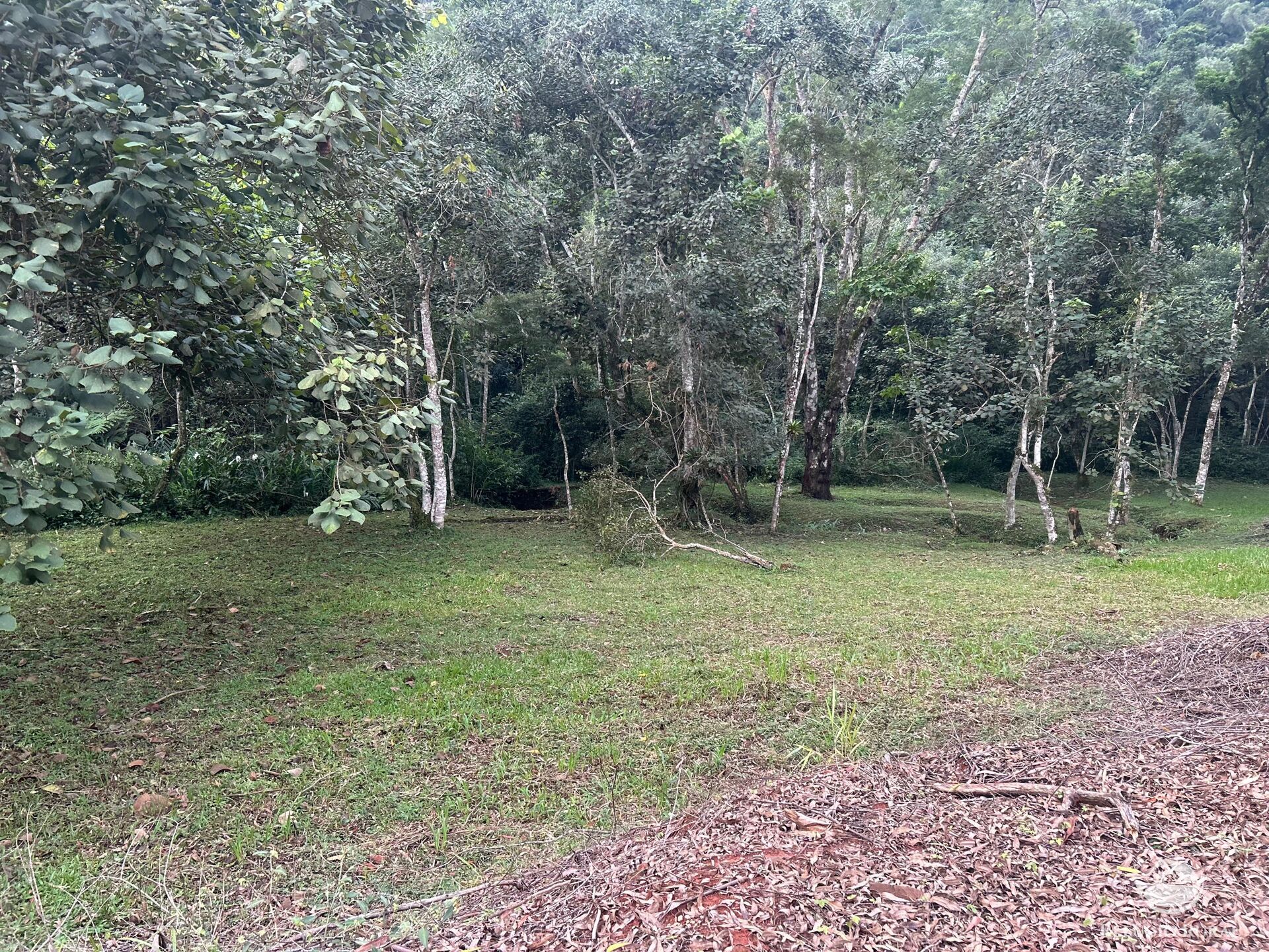Terreno à venda, 48400m² - Foto 4