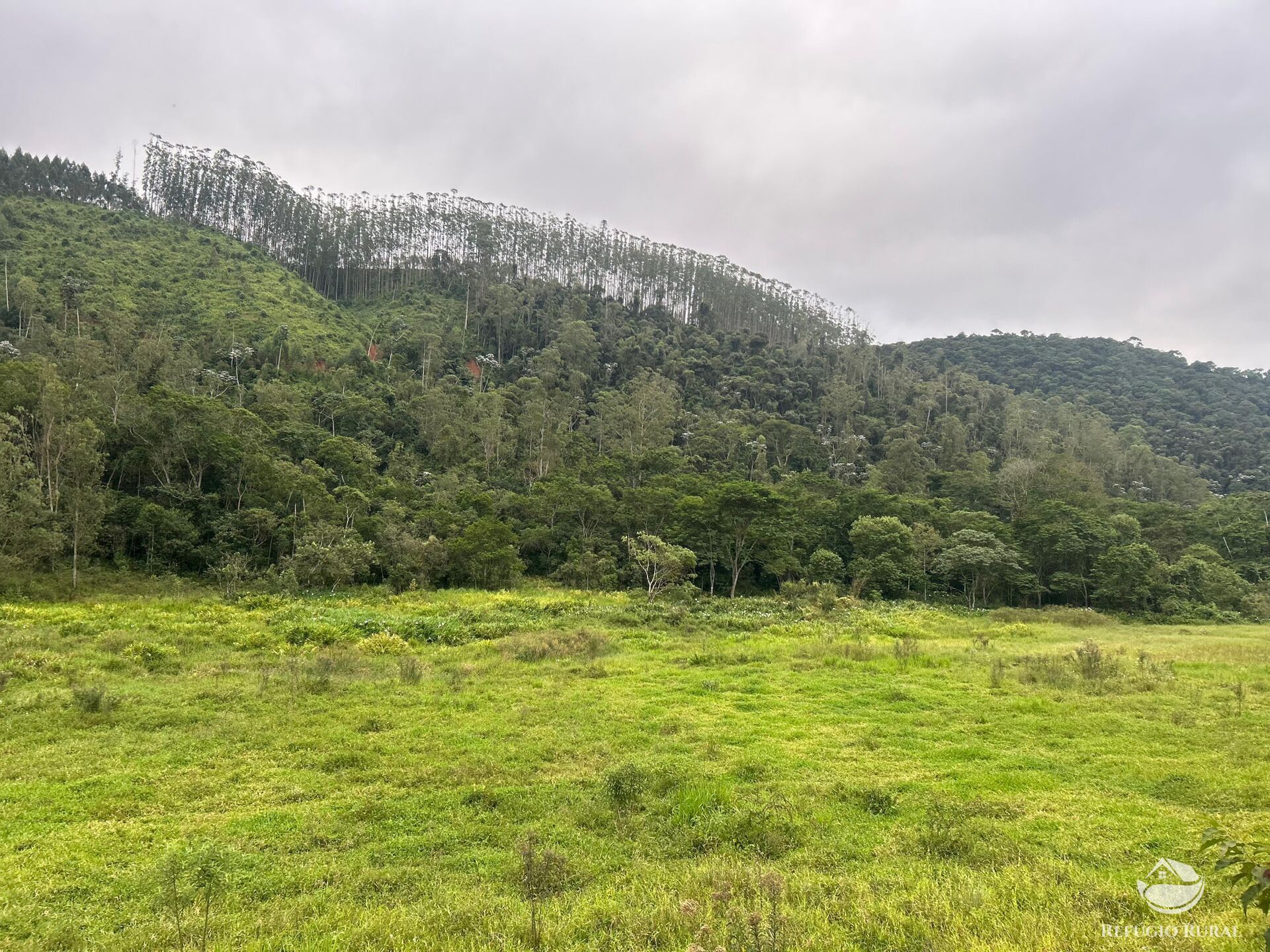 Terreno à venda, 48400m² - Foto 28