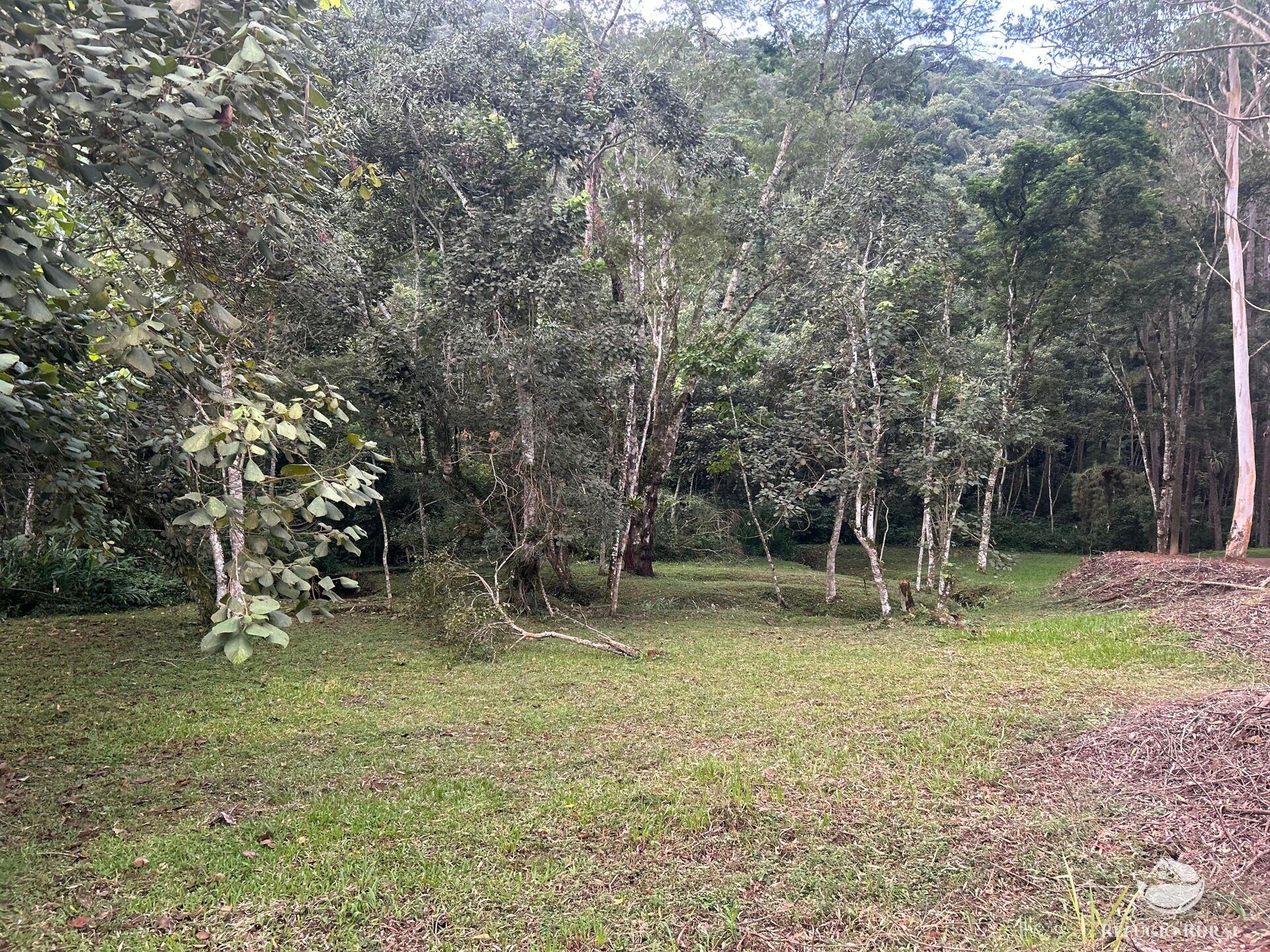 Terreno à venda, 48400m² - Foto 9