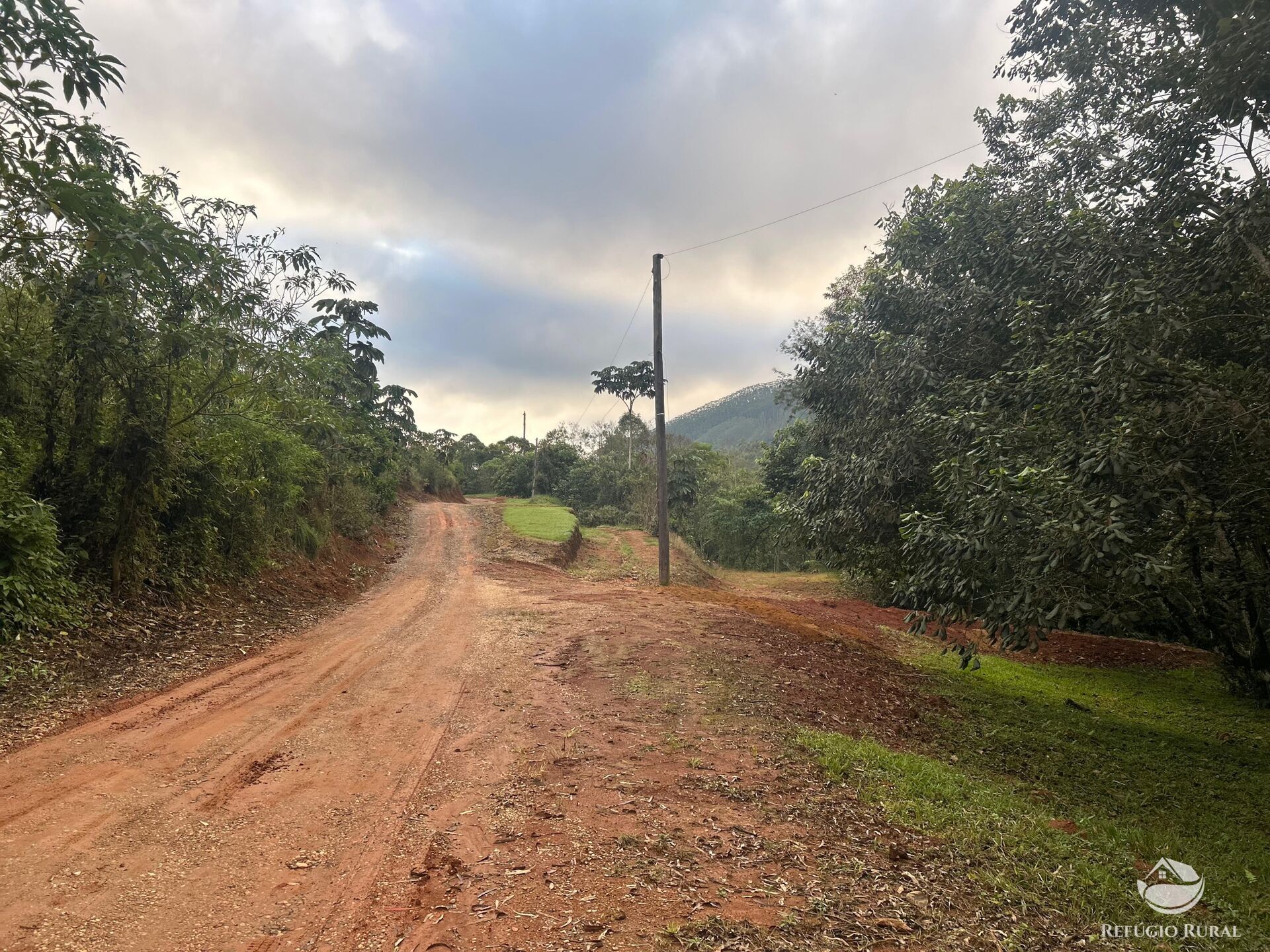 Terreno à venda, 48400m² - Foto 7