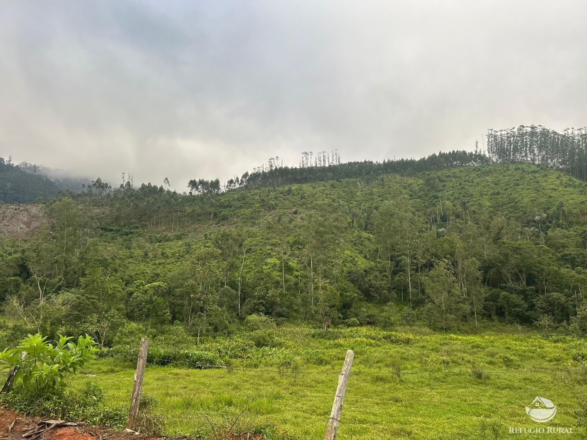 Terreno à venda, 48400m² - Foto 31