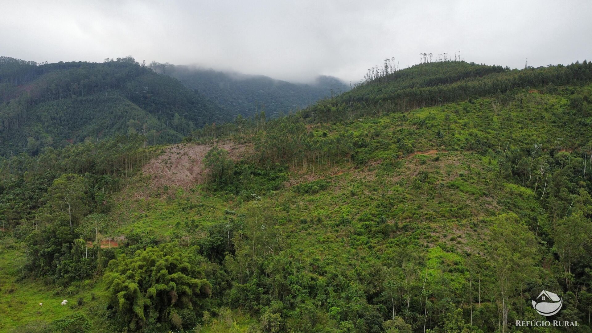 Terreno à venda, 48400m² - Foto 32