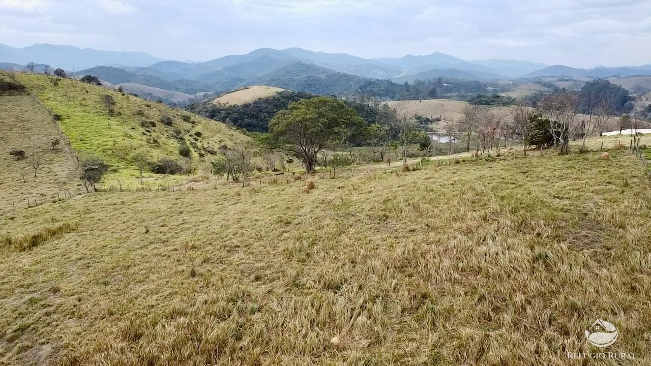 Terreno, 2 hectares - Foto 5