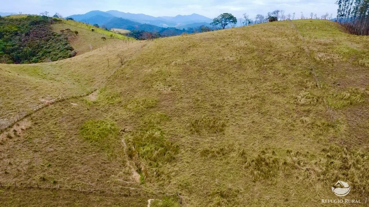 Terreno, 2 hectares - Foto 8