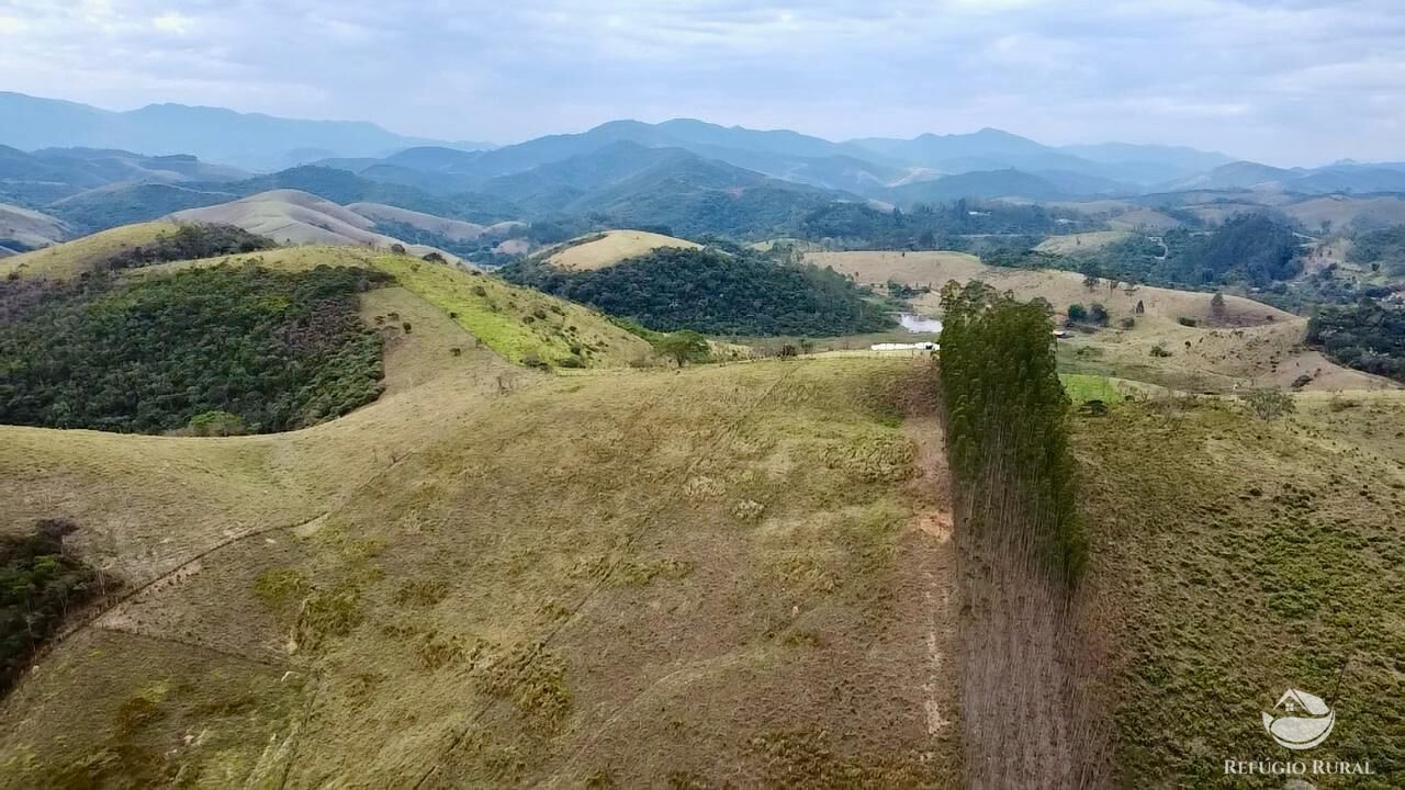 Terreno, 2 hectares - Foto 15