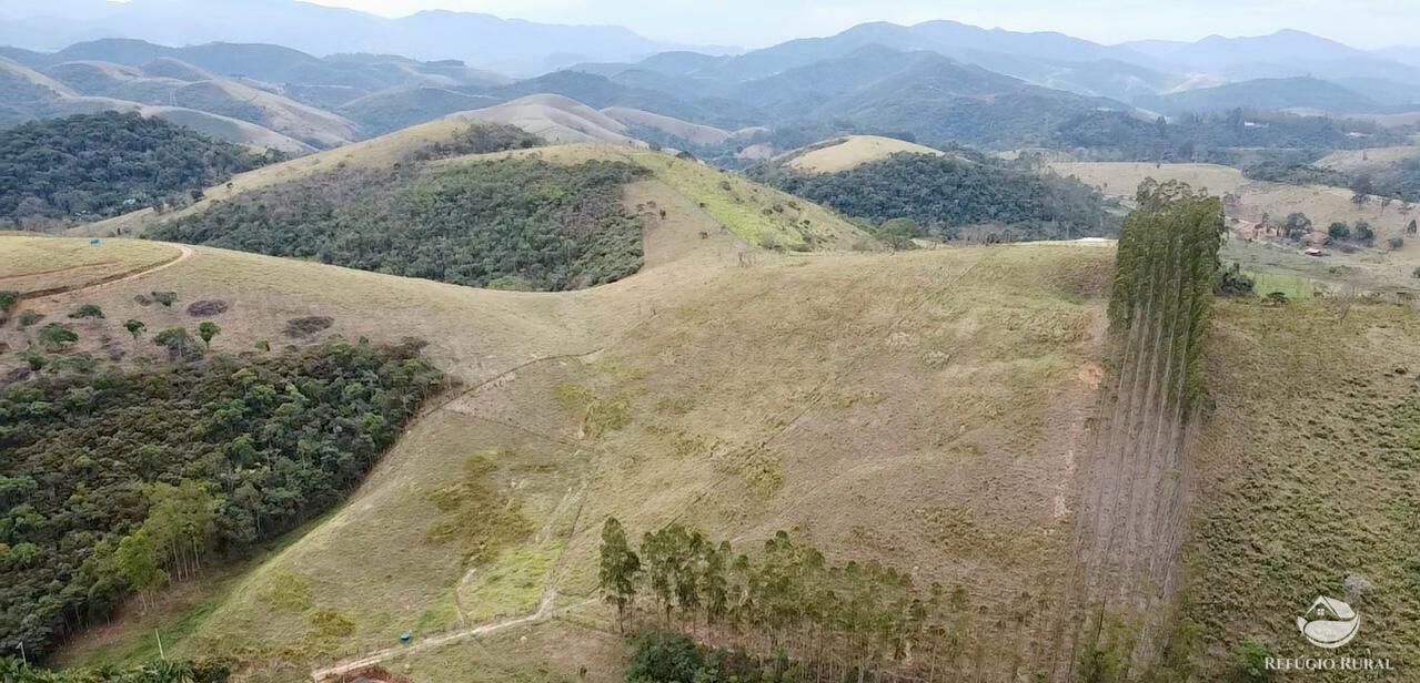 Terreno, 2 hectares - Foto 16