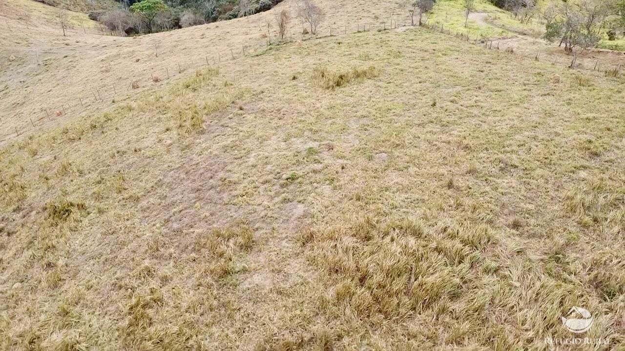 Terreno, 2 hectares - Foto 9