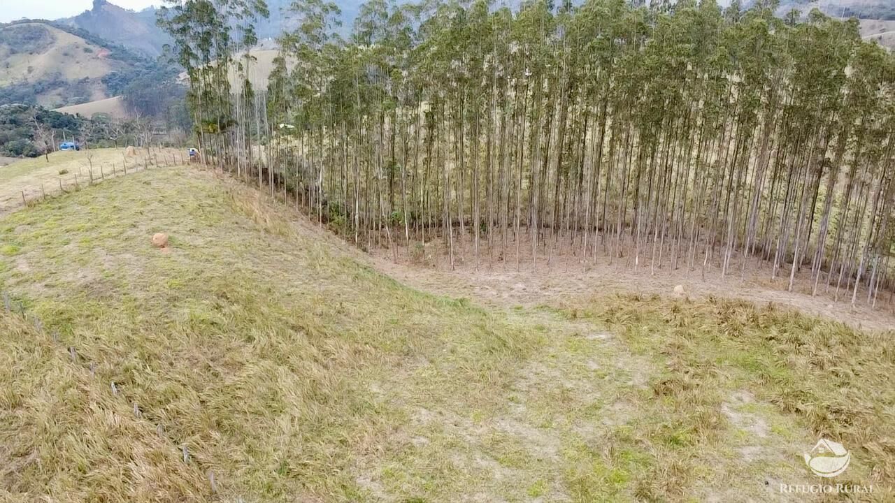 Terreno, 2 hectares - Foto 7