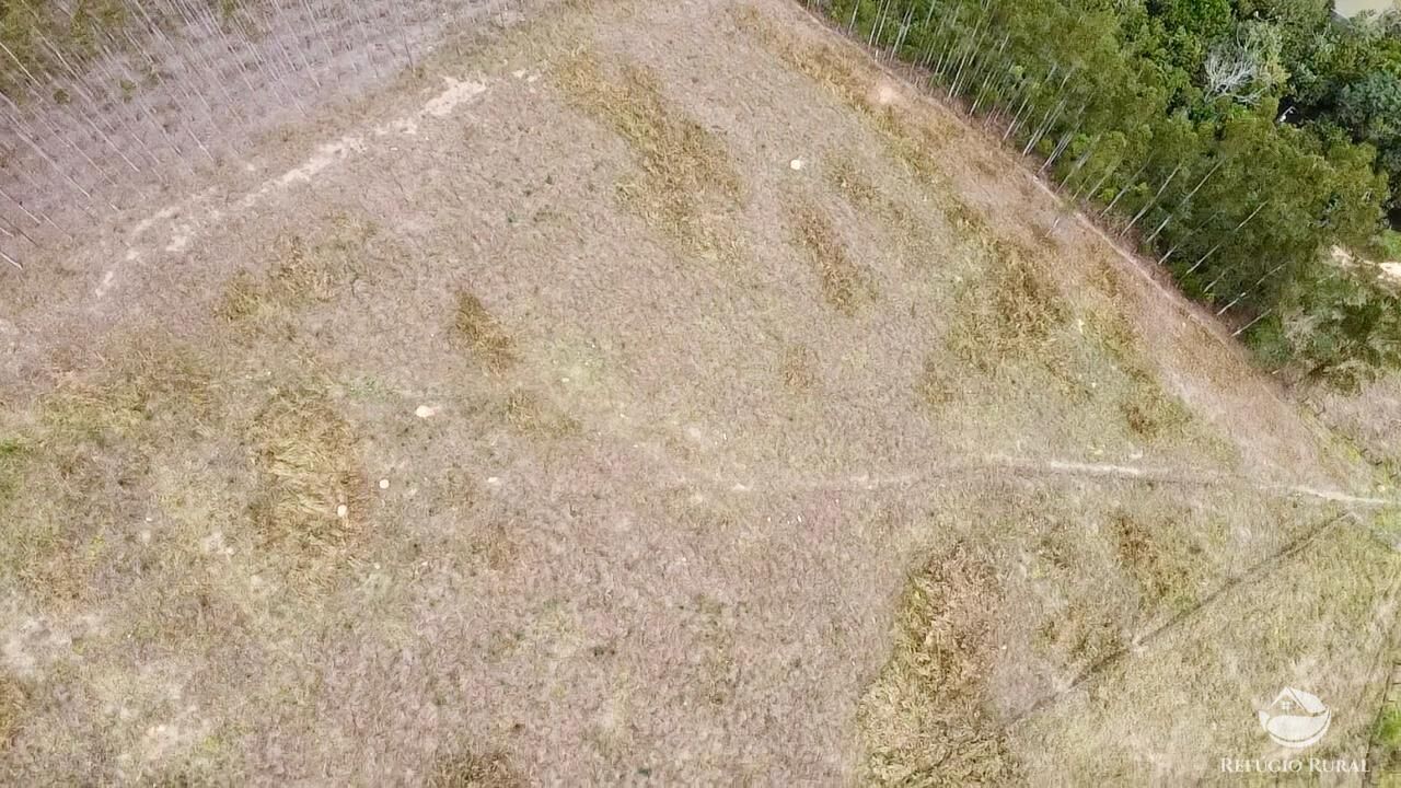 Terreno, 2 hectares - Foto 14