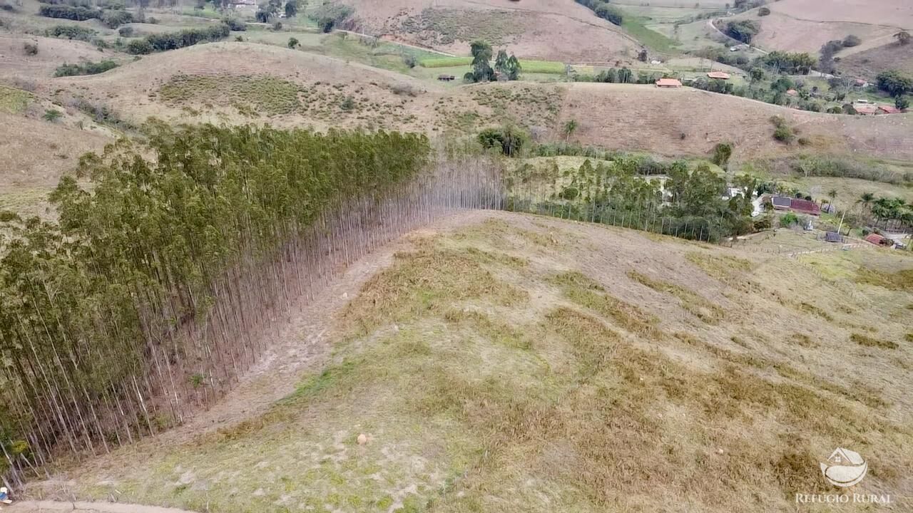 Terreno, 2 hectares - Foto 12