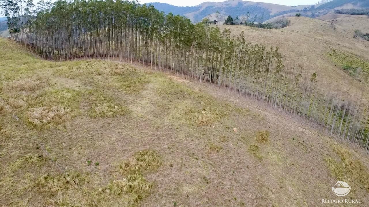 Terreno, 2 hectares - Foto 6