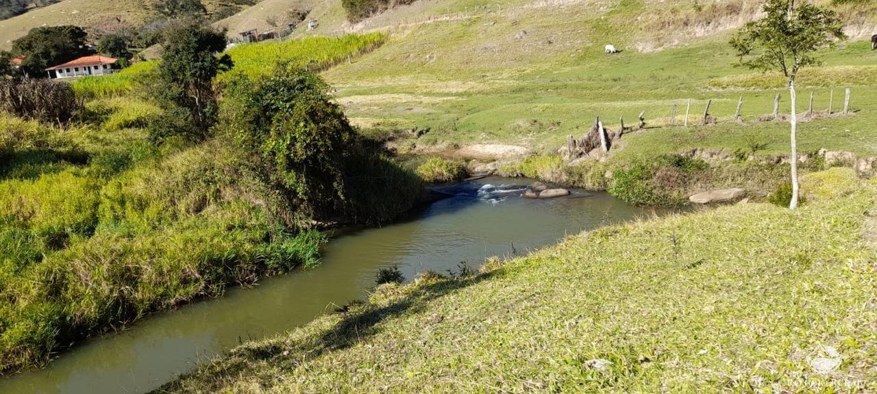 Fazenda à venda com 3 quartos, 1210000m² - Foto 2