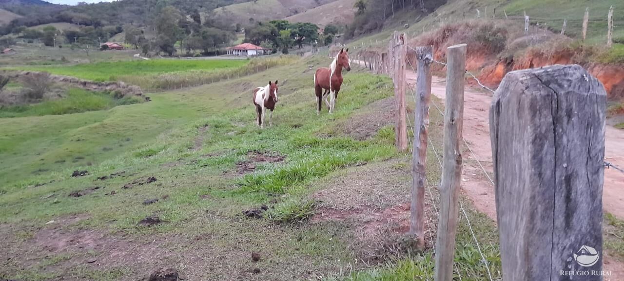 Fazenda à venda com 3 quartos, 1210000m² - Foto 5