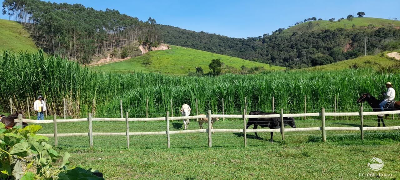 Fazenda à venda com 3 quartos, 1210000m² - Foto 4