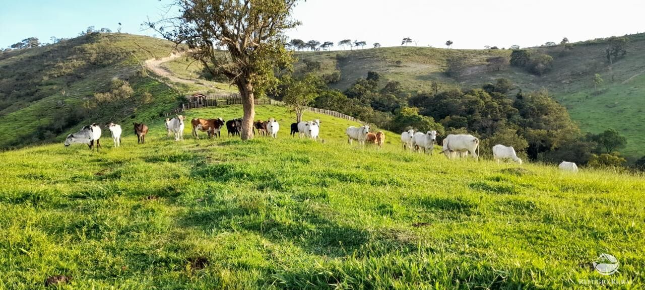 Fazenda à venda com 3 quartos, 1210000m² - Foto 1