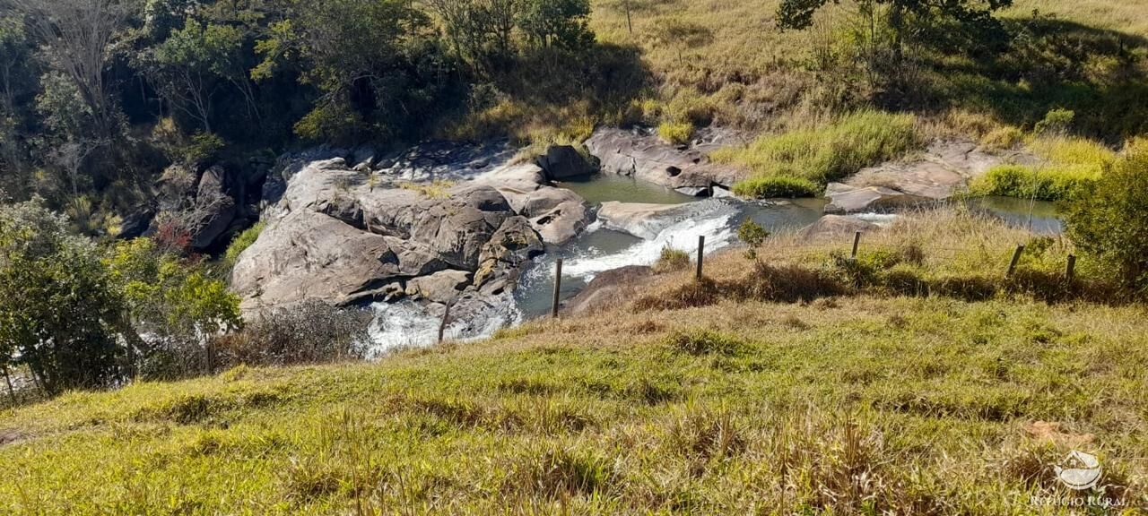 Fazenda à venda com 3 quartos, 1210000m² - Foto 3