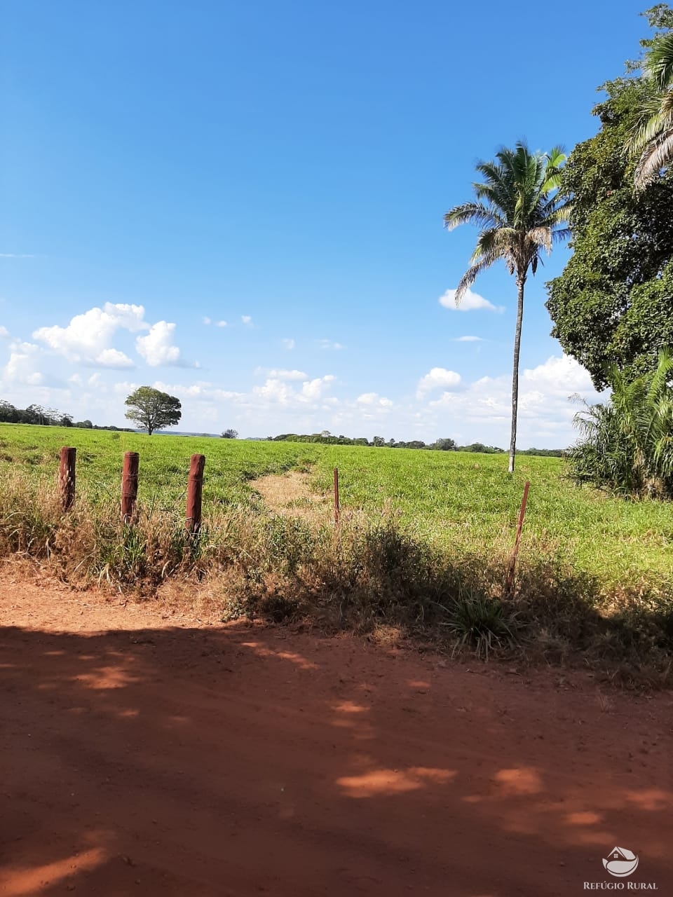 Fazenda à venda com 1 quarto, 198198000m² - Foto 21