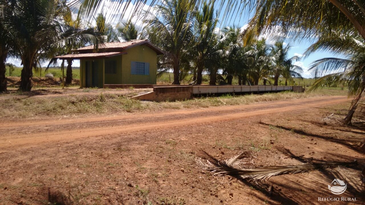 Fazenda à venda com 1 quarto, 198198000m² - Foto 11