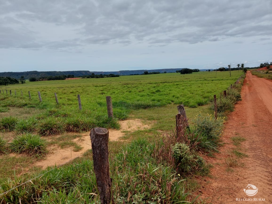 Fazenda à venda com 1 quarto, 198198000m² - Foto 49