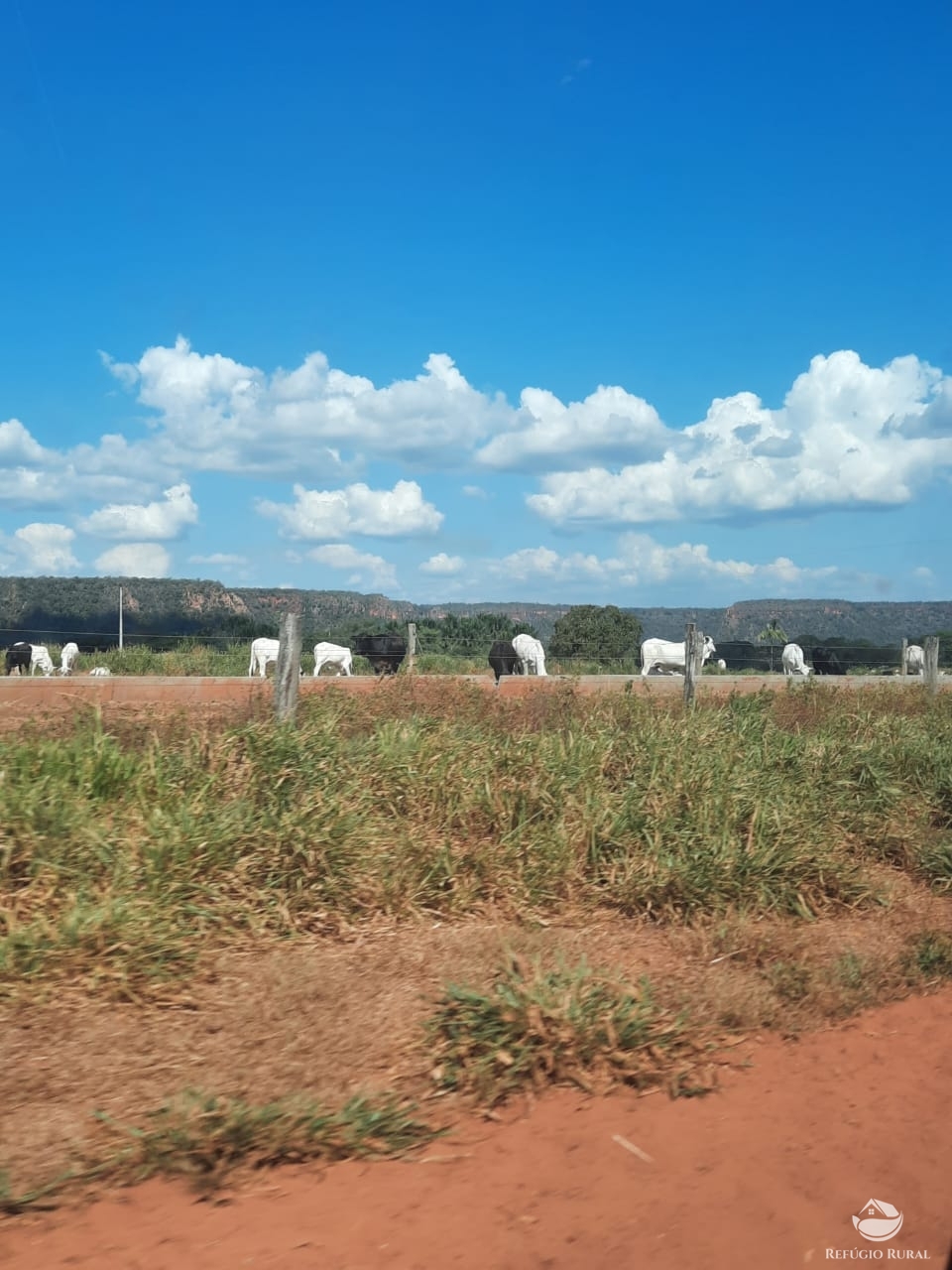 Fazenda à venda com 1 quarto, 198198000m² - Foto 22