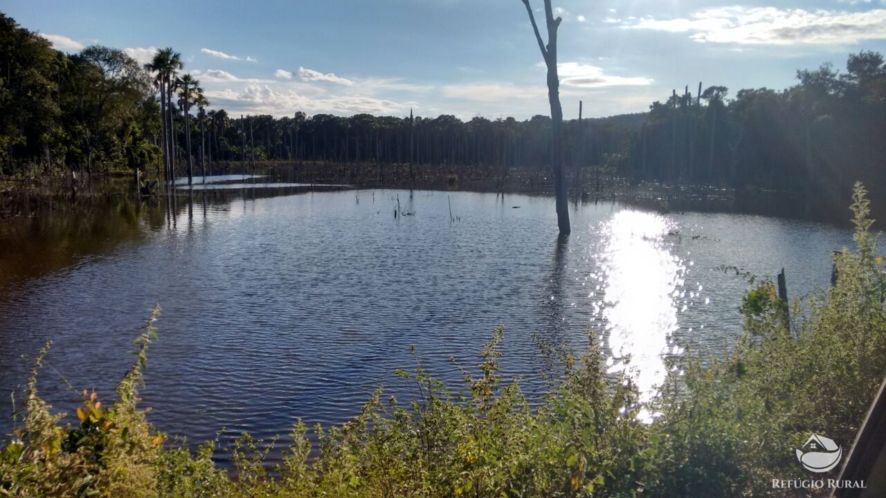 Fazenda à venda com 1 quarto, 198198000m² - Foto 10